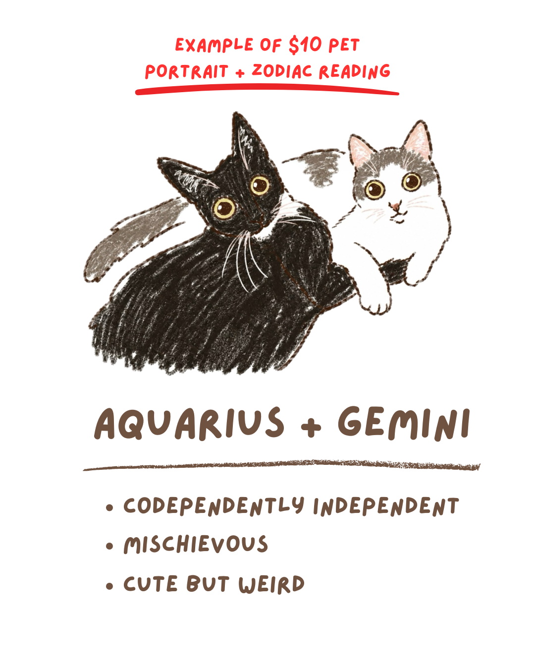 Poorly Drawn Pet Portrait