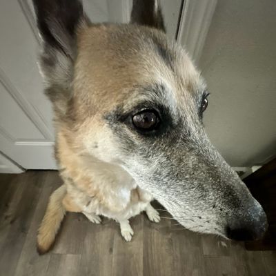 Lily — real photo